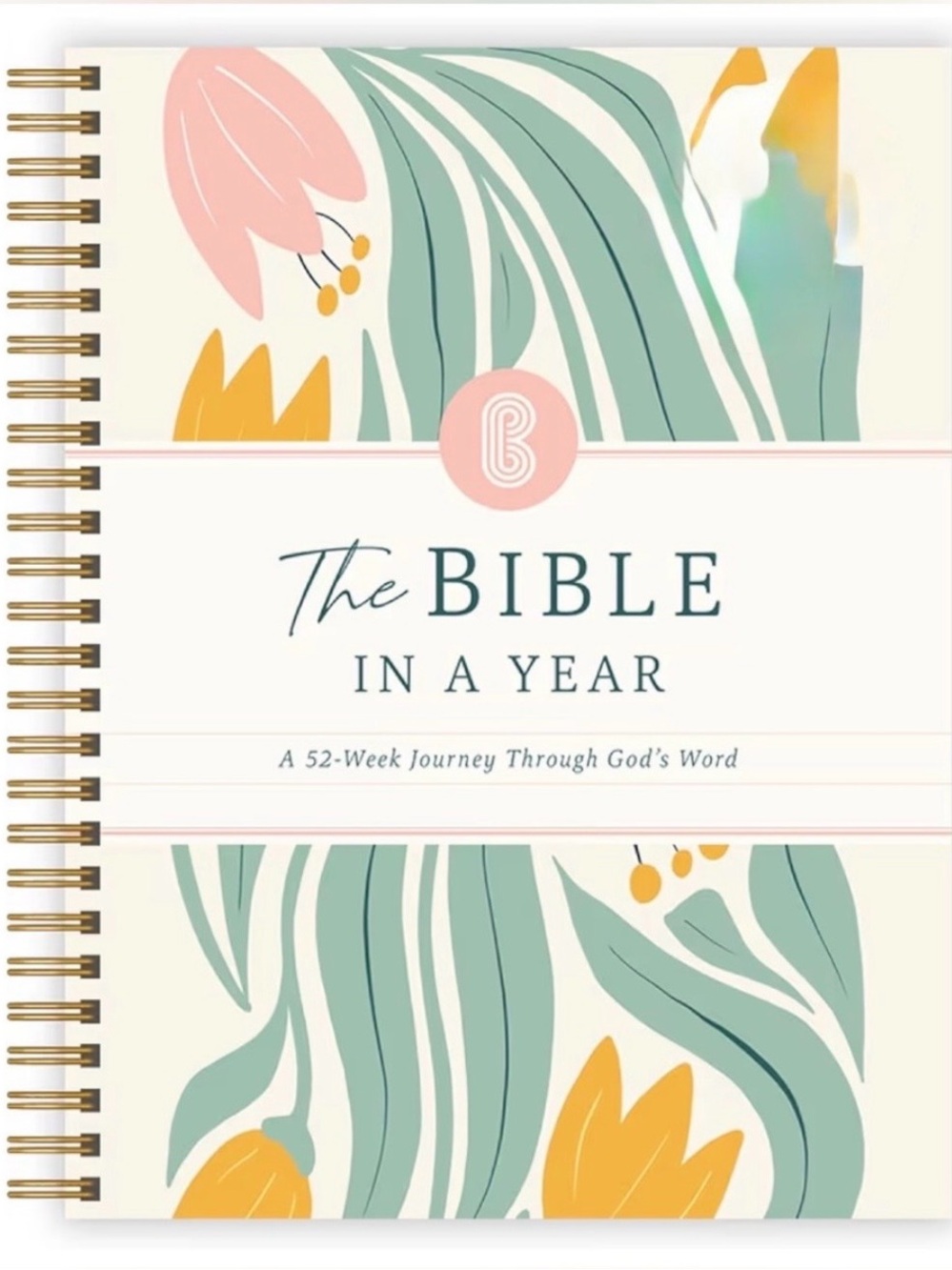 The Bible In A Year New Large Size 8.5” x 11”